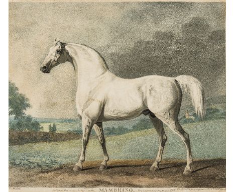 Horse racing.- Townley Stubbs (George) Mambrino, after George Stubbs, etching, engraving and mezzotint with hand-colouring on