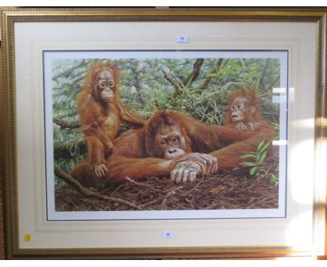 Alan M Hunt'But This is Our House' - OrangutansSigned limited edition print, 93/750Washington Green blind stamp48 x 72 cm 