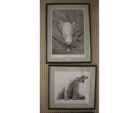 Gary Hodges'Polar Bear Swimming'open edition print signed in pencil58.5 x 40 cm'Sleepyhead'limited edition signed print 768/9