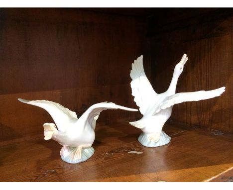 Two Lladro swans