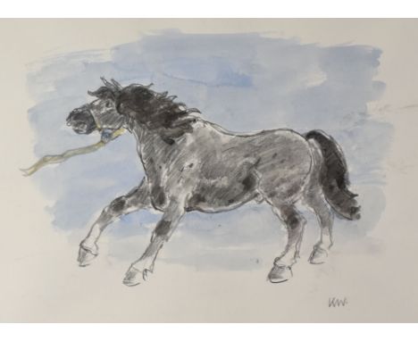 SIR KYFFIN WILLIAMS RA colour wash and pencil - a standing pony with halter, signed with initials, 25.5 x 34cms and also on t