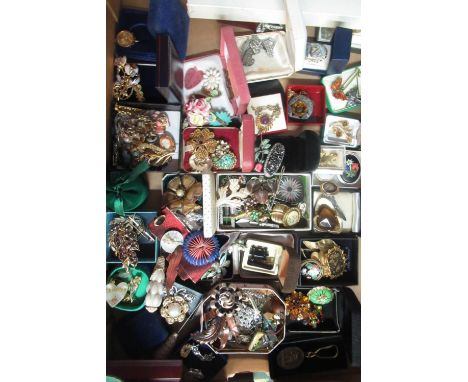 Collection of costume brooches and other jewellery including enamel, porcelain, hardstone etc designs 