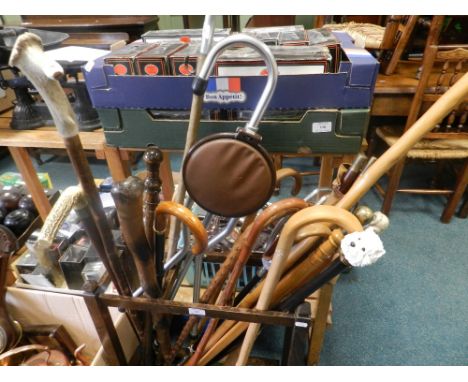 A collection of walking sticks, canes and shooting type sticks in a stick stand