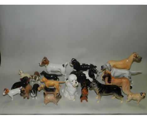 A quantity of Beswick models of dogs to include King Charles spaniels, border Collies, Labradors, Pug, Sausage Dog, Bull Dog,