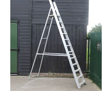 A tall aluminium step ladder, 350cm