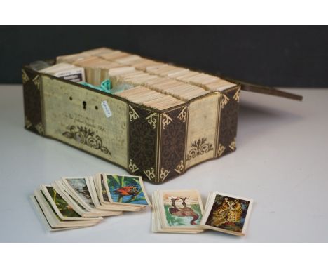 A vintage tin box containing a good collection of cigarette cards 
