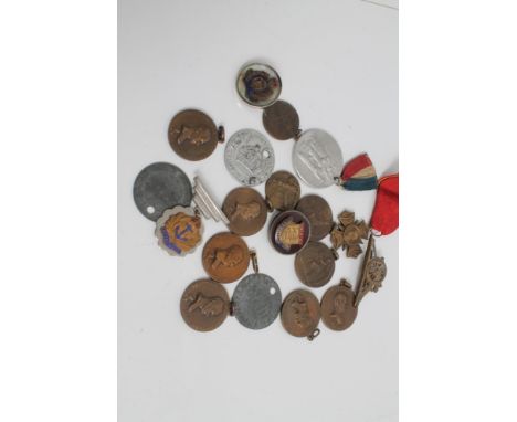 Egyptian Army dog tags, Belgium Military decoration Army Clothing Department token, Rifle Club medallions and other military 