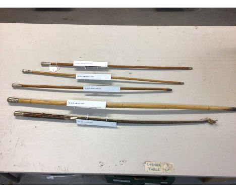 Royal Army Service Corps swagger stick, Royal Marines swagger stick, Royal Army Ordinance Corps swagger stick, Royal Army Med
