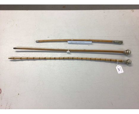 Hampshire Regiment swagger stick, Kings Own 4th Foot swagger stick and another (3)
