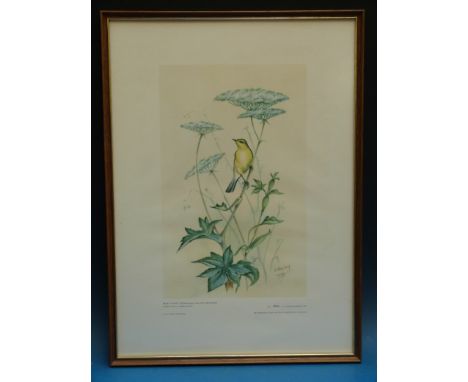 A set of Royal Worcester limited edition prints