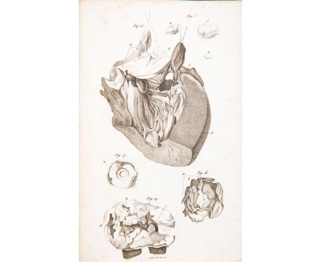 NO RESERVE Medicina. Lotto di 9 opereIl lotto comprende:Puccinotti Francesco. Opere complete edite ed inedite... Volume primo