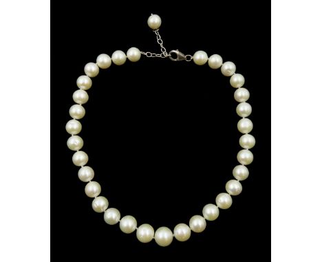 Single strand pearl necklace, each pearl approx 12mm, with silver clasp stamped 925 - Condition Report Length = 42cm