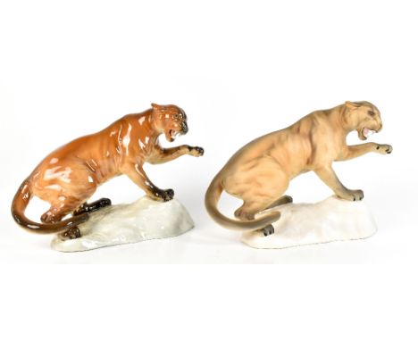 BESWICK; two models of a panther on a rock, no.1702, finished in matte and a high gloss respectively,&nbsp;height 21cm (2).Ad