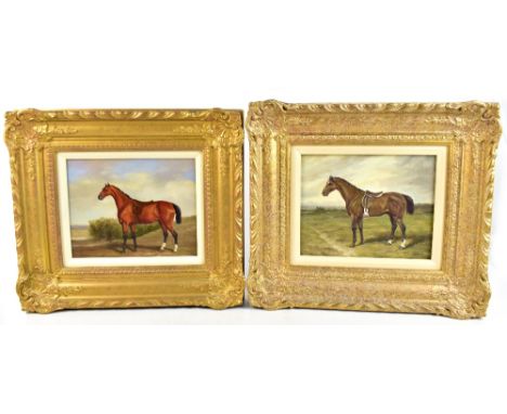 C HARRISON; two oils on board, horse studies, signed lower left and right respectively, 18.5 x 23.6cm, both in gilt frames (2