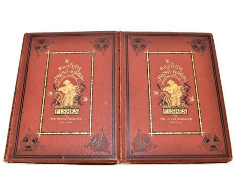 HOUGHTON, REV. W; 'British Fresh-Water Fishes', two volumes with illustrations by A.F. Lydon and numerous engravings, pub. Wi