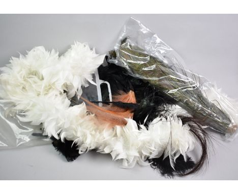 A Collection of Various Vintage Feathers, Fascinator Feathers Etc
