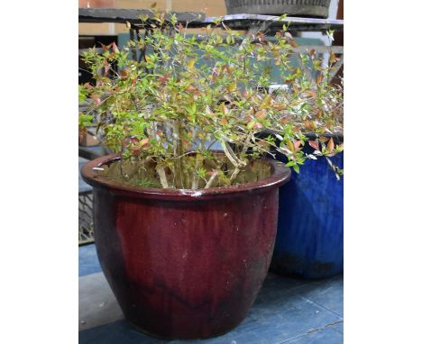 A Maroon Glazed Circular Patio Planter, 47cms Diameter