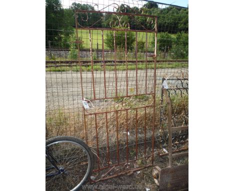 A wrought iron tall garden gate, 32" wide by 73" tall.