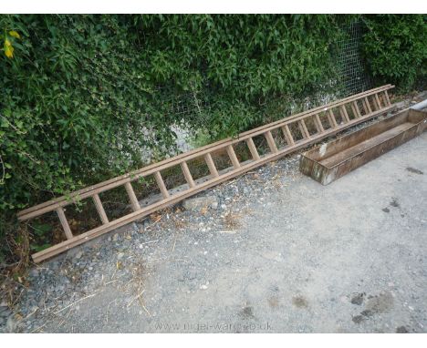 A 36 rung wooden extending ladder
