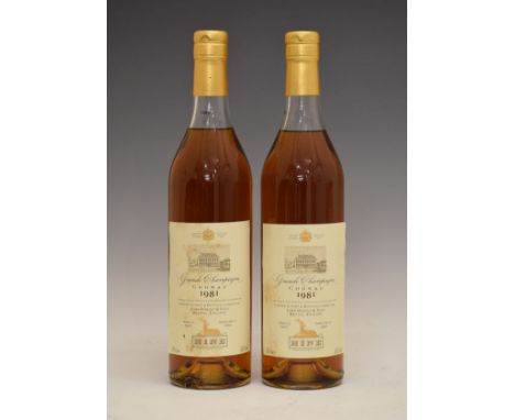 Hine Grande Champagne Cognac 1981 Vintage, landed in 1987, bottled in 1999, two bottles (2)  Condition: Seals are good, level