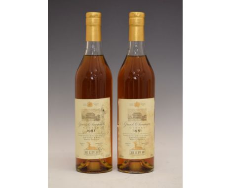 Hine Grande Champagne Cognac 1981 Vintage, landed in 1987, bottled in 1999, two bottles (2)  Condition: Seals are good, level