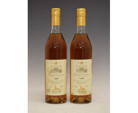 Hine Grande Champagne Cognac 1981 Vintage, landed in 1987, bottled in 1999, two bottles (2)  Condition: Seals are good, level