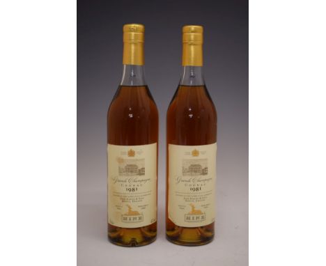 Hine Grande Champagne Cognac 1981 Vintage, landed in 1987, bottled in 1999, two bottles (2)  Condition: Seals are good, level