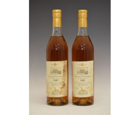 Hine Grande Champagne Cognac 1981 Vintage, landed in 1987, bottled in 1999, two bottles (2)  Condition: Seals are good, level