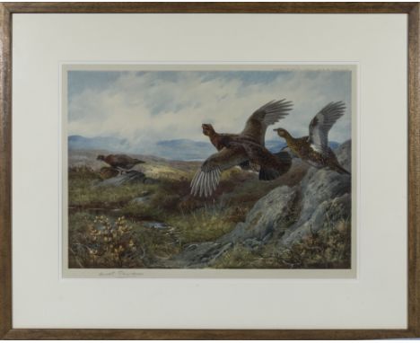 Archibald Thorburn (1860-1935)A large framed print signed in pencil depicting grouse 65cm x 55cm