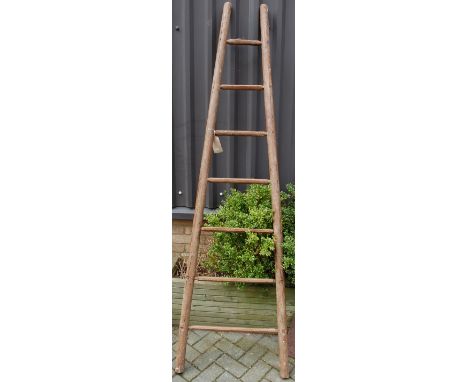 An antique stained elm fruit-pickers ladder