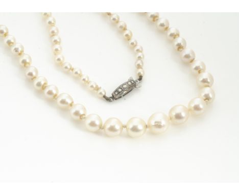 A string of graduated cultured pearls, the knotted strung necklace with a continental 935 and marcasite clasp, largest pearl 
