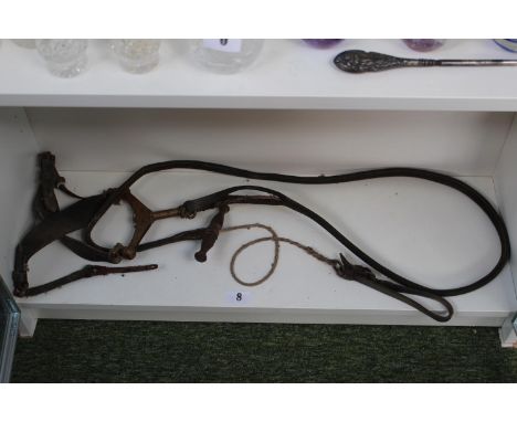Early 20thC Hare Coursing Leather Brass Dog Slip Leash Hunting 