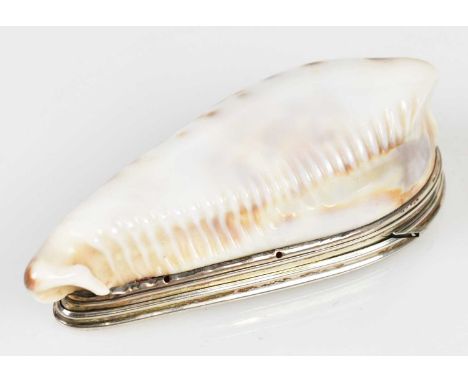 An 18th century Scottish cowrie shell snuff box with white metal rim and hinged cover, length 9.5cm.