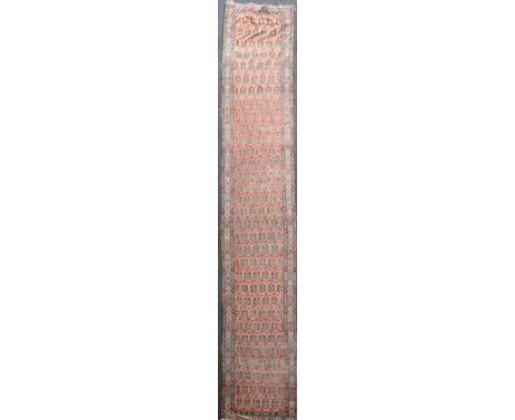 An antique Fereghan red ground runner, with field of geometric pears and a three row border, 16ft 6in by 3ft 6in.
