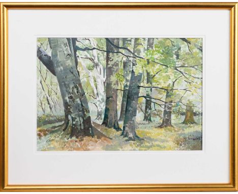 * ROY YOUNG FERGUSON (SCOTTISH 1907 - 1981), WOODLAND SCENE watercolour on paper, signedmounted, framed and under glassimage 