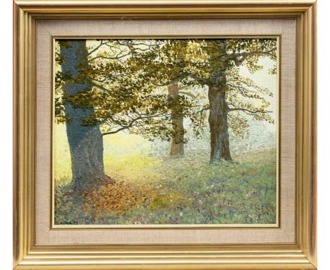 * FRANK COLCLOUGH (SCOTTISH 1941 - 2023), WOODED LANDSCAPE oil on board, signed and dated '78framed and under glassimage size