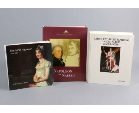 3 Kunstbände *Napoleon* *Napoleon und Nassau* herausgeg. v. Georg Schmidt-von Rhein, Paqué Druck und Verlag GmbH, Ramstein 20