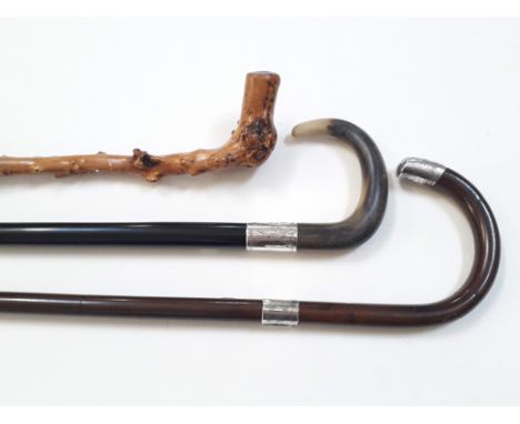 Two silver mounted walking canes and a knobbly walking stick. 
