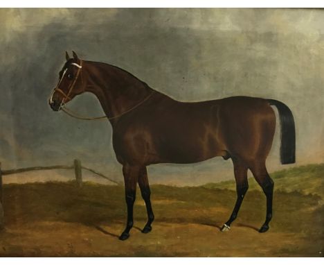 WILKINSON JOHN GILBERT (fl. 1830-70) "Horse in a landscape", oil on canvas, signed and dated 1850 lower right, inscribed on l