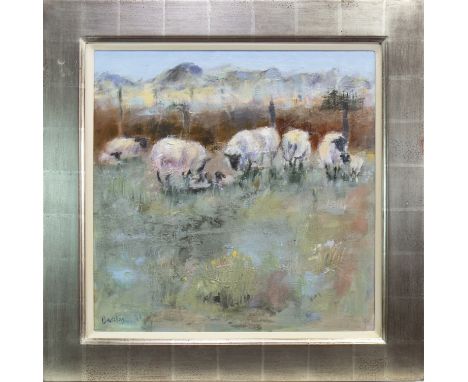 * MURIEL BARCLAY (SCOTTISH), WONDERFUL AND WOOLLY oil on linen, signed 61cm x 61cm Framed. Note: At the first Scottish Contem