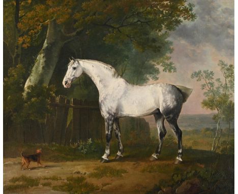 SAWREY GILPIN (BRITISH 1733-1807) A GREY HORSE AND A DOG IN A LANDSCAPE Oil on canvas Signed (lower centre) 49.5 x 60cm (19¼ 