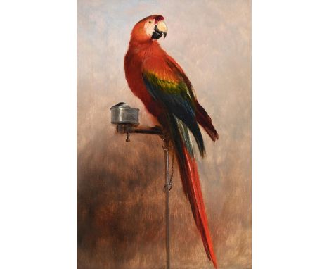 GEORGE COLE (BRITISH 1810 - 1883) PARROT ON A PERCH  Oil on panel Signed (lower left), inscribed and dated 'To Mrs Basterbale