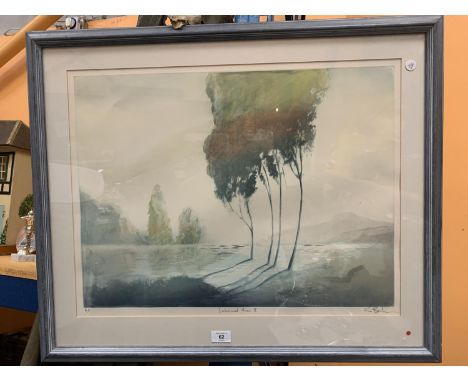 A LAKELAND HAZE 11 BY R BAKER 
