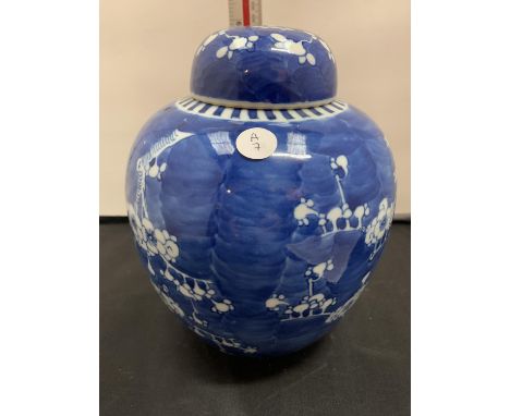 A LARGE CHINESE BLUE AND WHITE PRUNUS PORCELAIN GINGER JAR DOUBLE RING KANGXI 20CM 