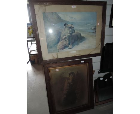A vintage photograph of boy and cat also dog and puppy print