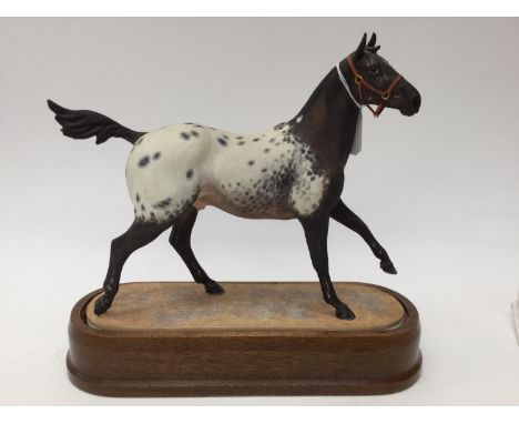 Royal Worcester limited edition 357/750 Appaloosa Stallion, modelled and signed Doris Linder, with plinth, including framed c