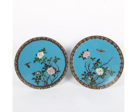 A pair of Japanese cloisonne enamel plates, butterfly and chrysanthemum decoration, diameter 30cm 