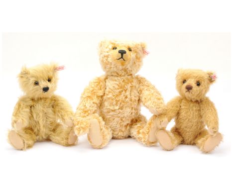 Steiff teddy bear trio including: (1) James teddy bear, white tag 036675, LE 1500, brass mohair, tilt growler, MISSING chest 