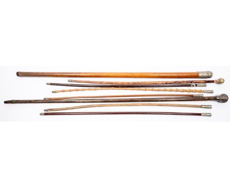 5 ORs swagger sticks: the Royal Fusiliers; The Queen's; RASC (2); Sutton Valence; another plain one. An RSMs Malacca cane of 