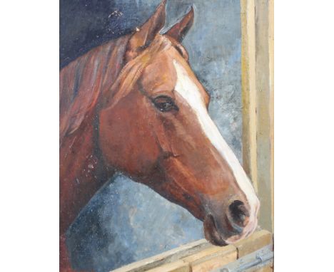 EV Edwards (British, 20th Century), portrait of a chesnut horse, oil on board, signed lower left, framed, 59cm x47cm